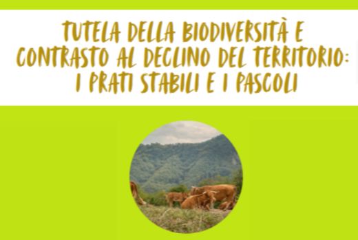 Tutela della biodiversit&agrave; e contrasto al declino del territorio: i prati stabili e i pascoli